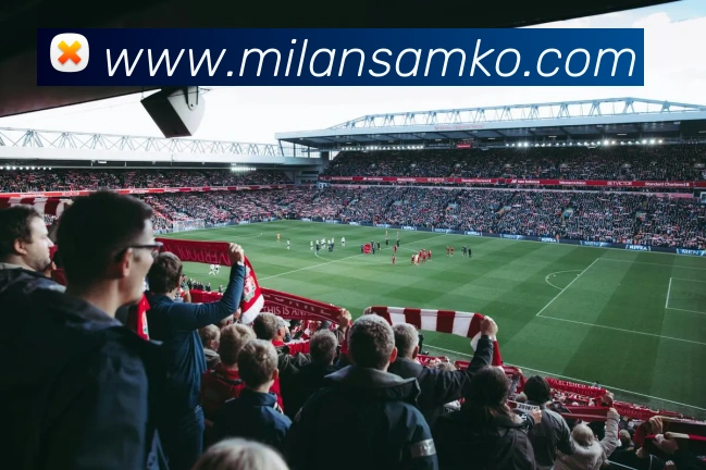 米兰体育APP 封面图